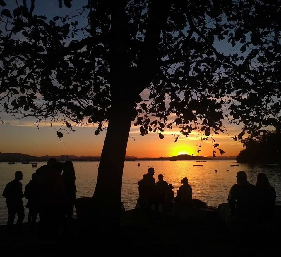 Sol se pondo sobre a enseada, emoldurado por uma árvore, na Praia do Cascalho em Penha